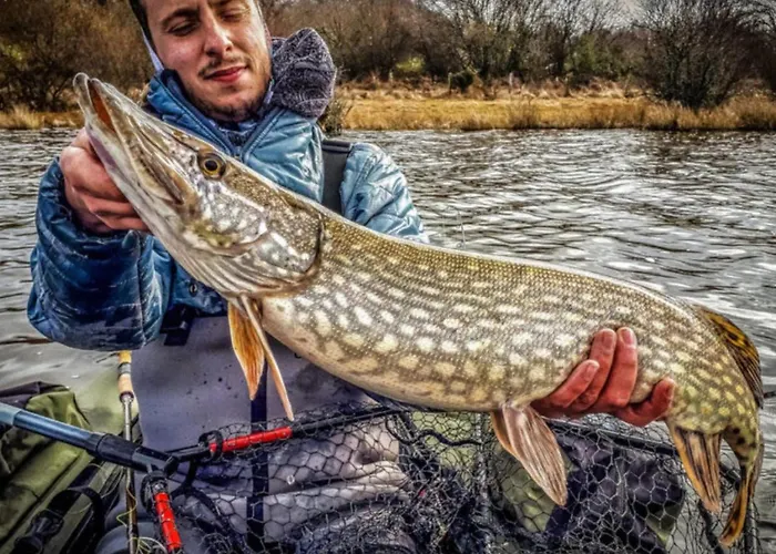 Mobil-home 3 Pers Avec Terrasse A - Api-1-52-1958 Radonvilliers